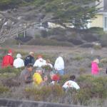 CambriaCN_184 (October 25, 2014)